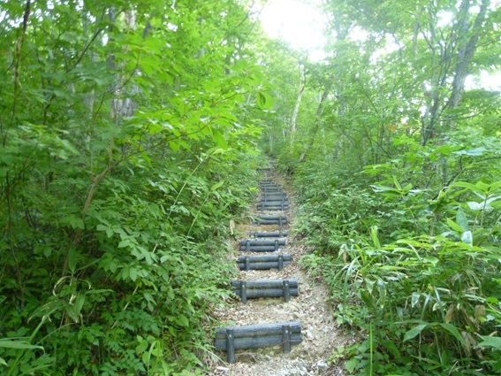 ②登山口からしばらくの整備された登山道.jpg